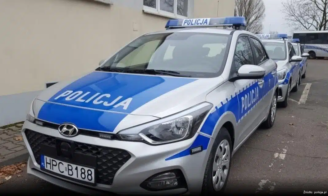 Bezpieczeństwo na Pikniku Rodzinnym w Brzesku: Policjanci w Akcji